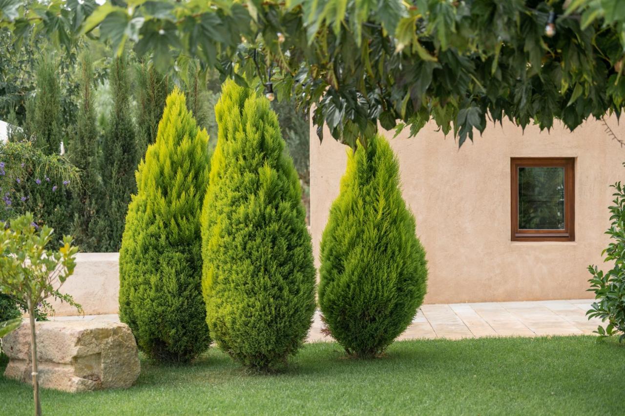Agroturismo Safragell Ibiza Suites & Spa 圣洛伦索巴拉菲 外观 照片